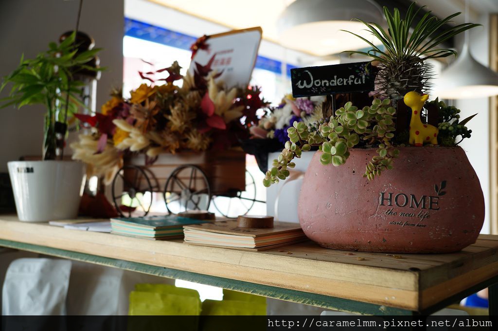 DSC00873.jpg DSC00873.jpg