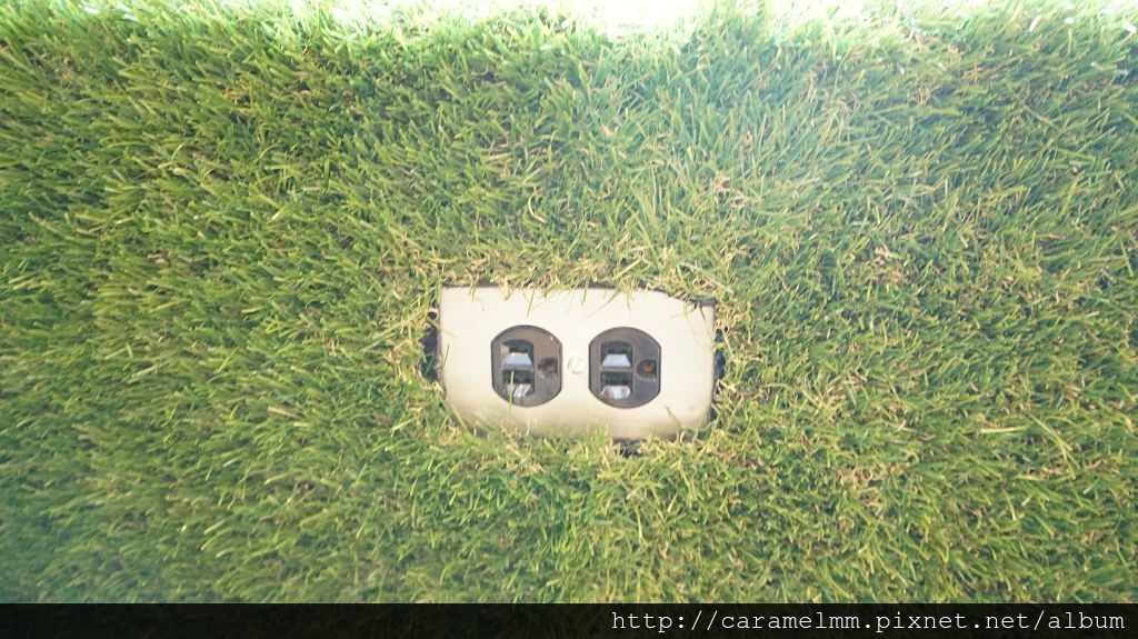 DSC06524.jpg DSC06524.jpg