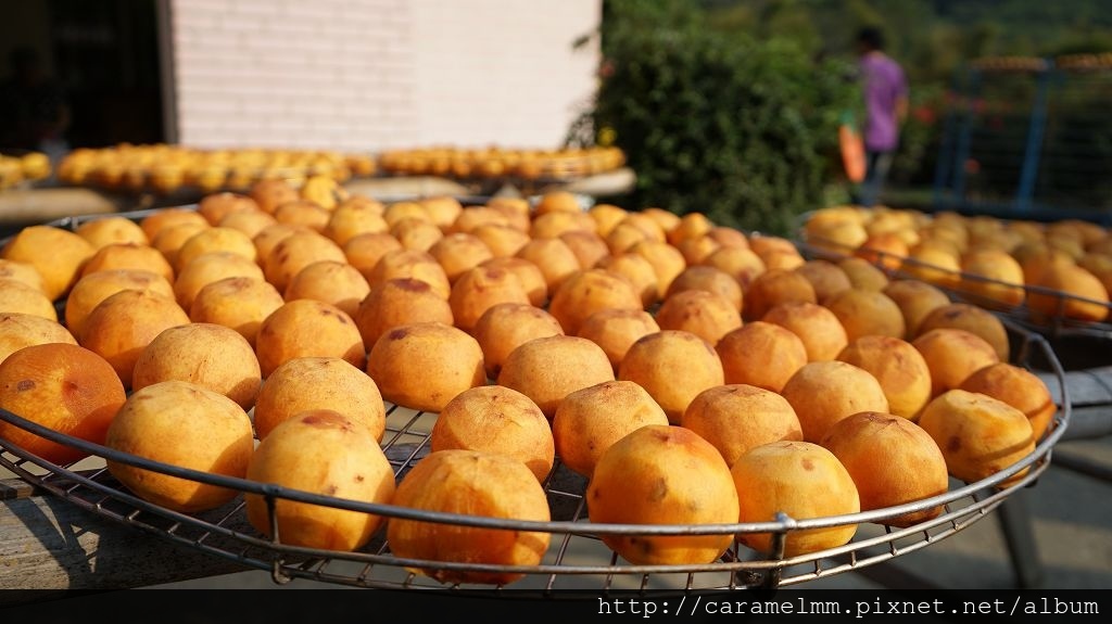 DSC06130.jpg DSC06130.jpg