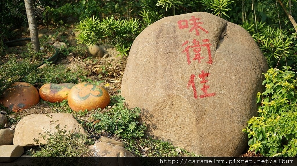 DSC06124.jpg DSC06124.jpg