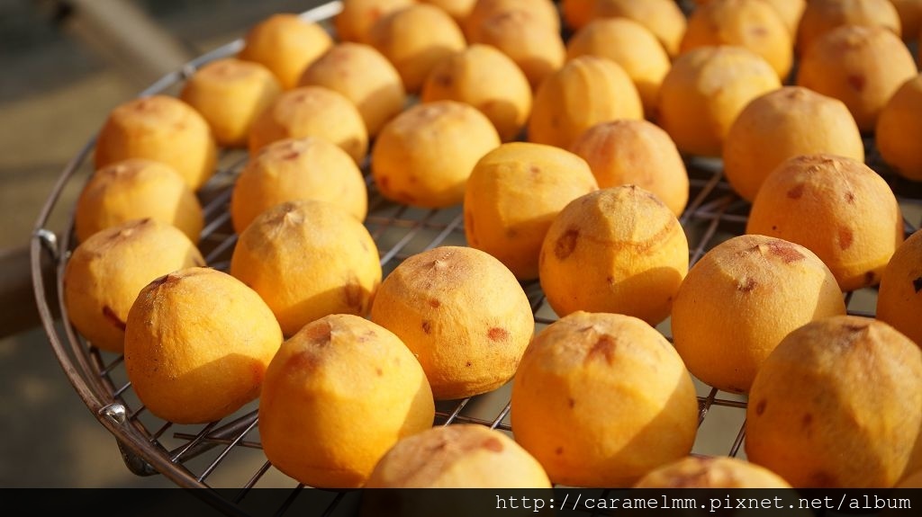 DSC06133.jpg DSC06133.jpg