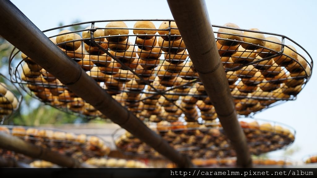 DSC06157.jpg DSC06157.jpg