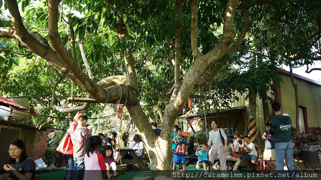 DSC06149.jpg DSC06149.jpg