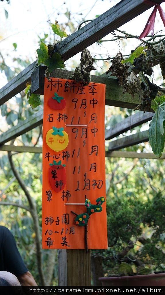 DSC06154.jpg DSC06154.jpg