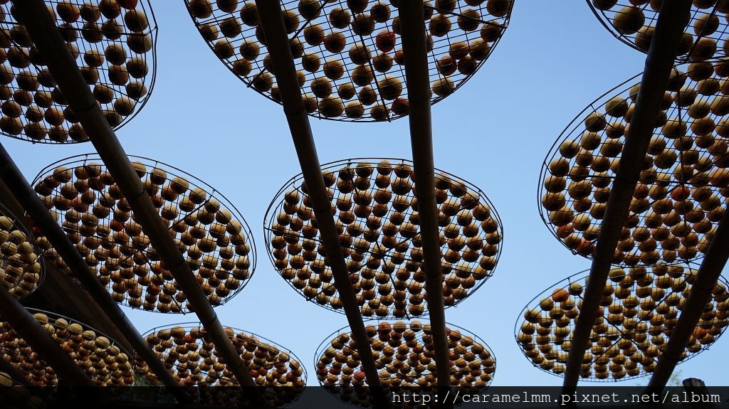 DSC06155.jpg DSC06155.jpg