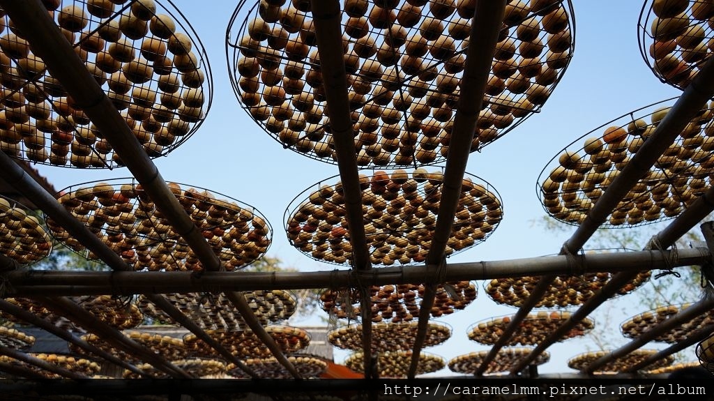 DSC06160.jpg DSC06160.jpg