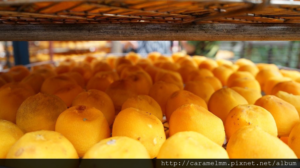 DSC06178.jpg DSC06178.jpg