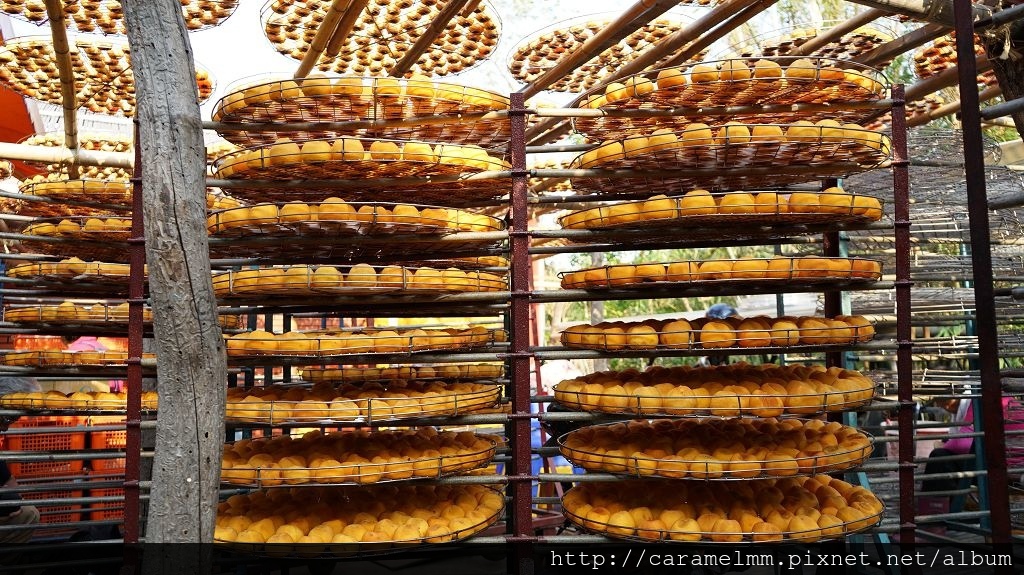 DSC06176.jpg DSC06176.jpg