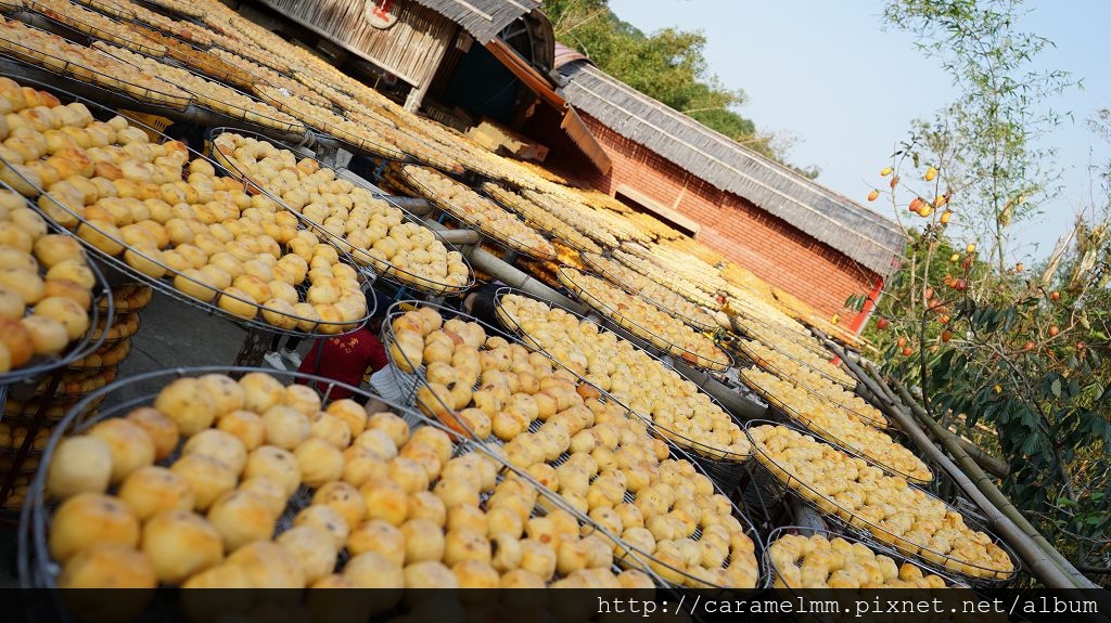 DSC06171.jpg DSC06171.jpg