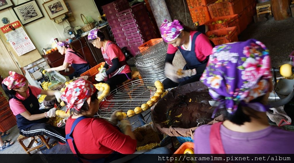 DSC06198.jpg DSC06198.jpg