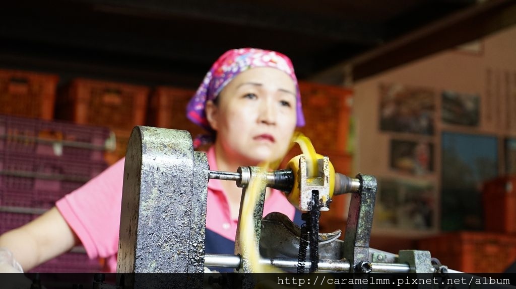 DSC06224.jpg DSC06224.jpg