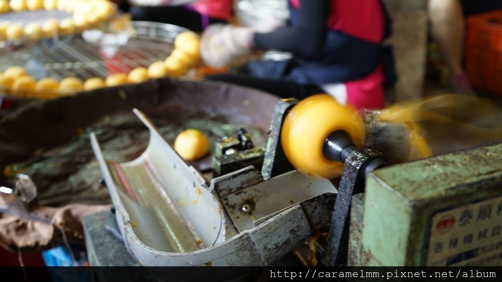 DSC06199.jpg DSC06199.jpg