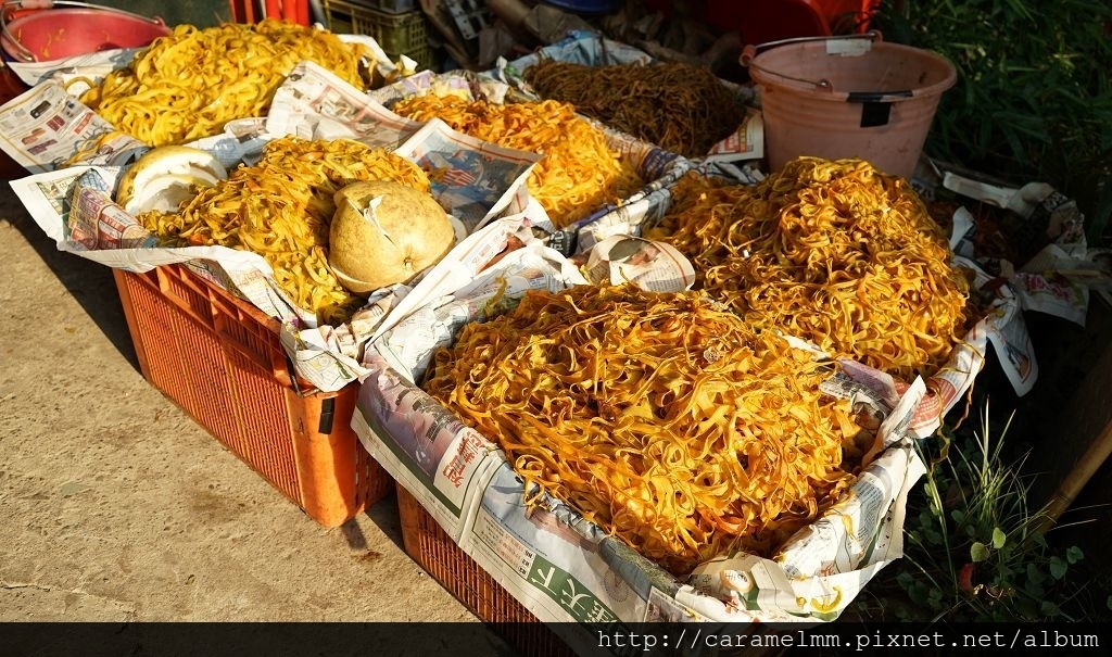 DSC06231.jpg DSC06231.jpg