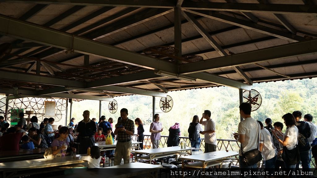 DSC06233.jpg DSC06233.jpg