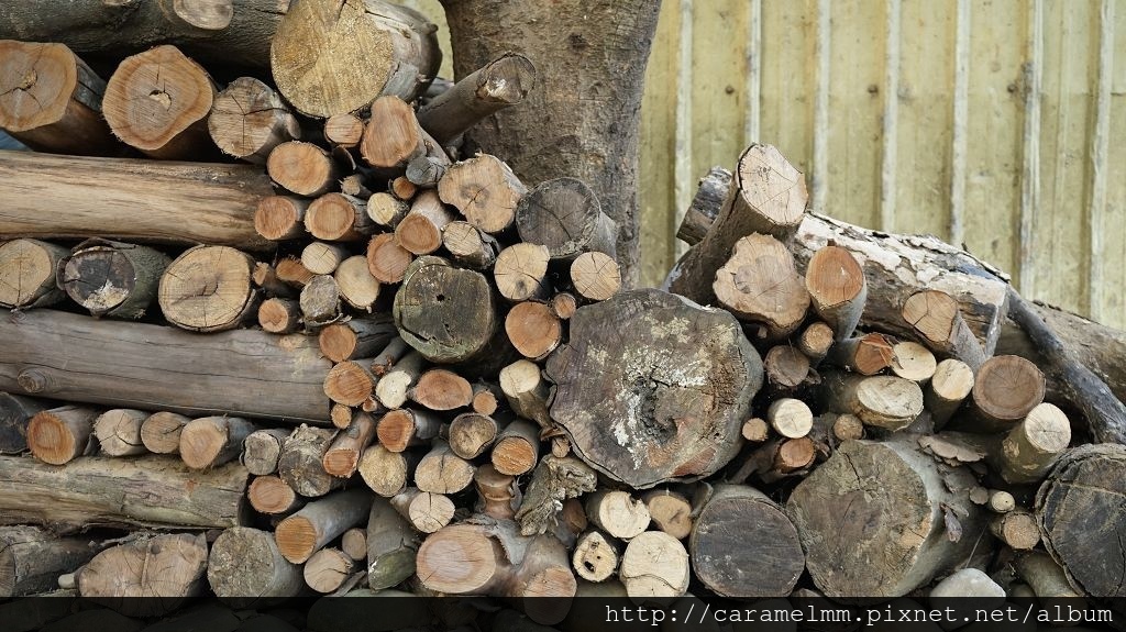 DSC06303.jpg DSC06303.jpg