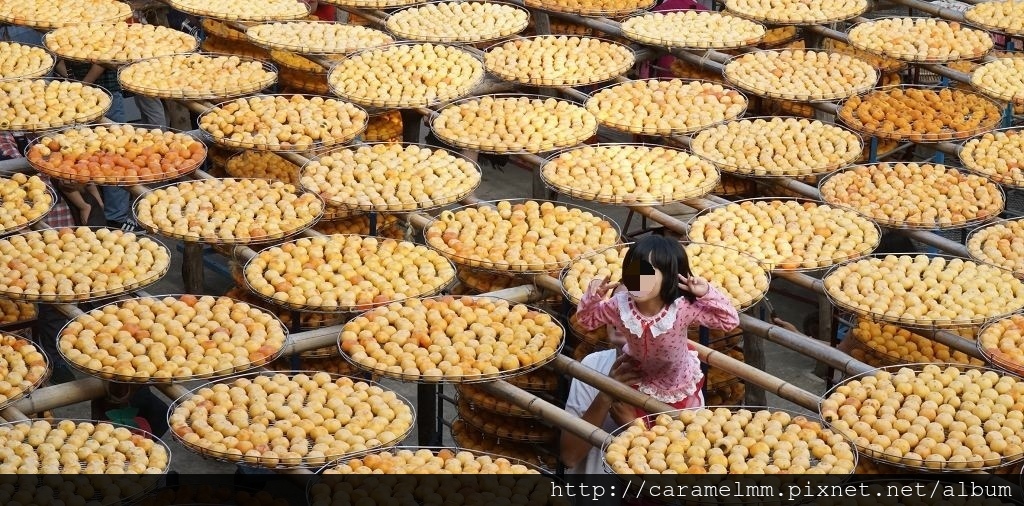 DSC06256.jpg DSC06256.jpg