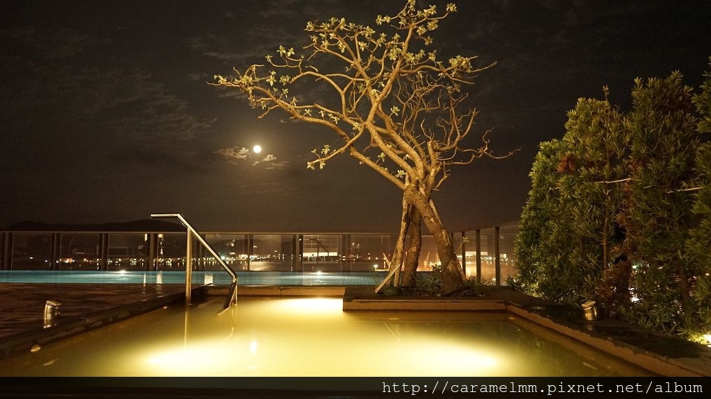 DSC07799.jpg DSC07799.jpg