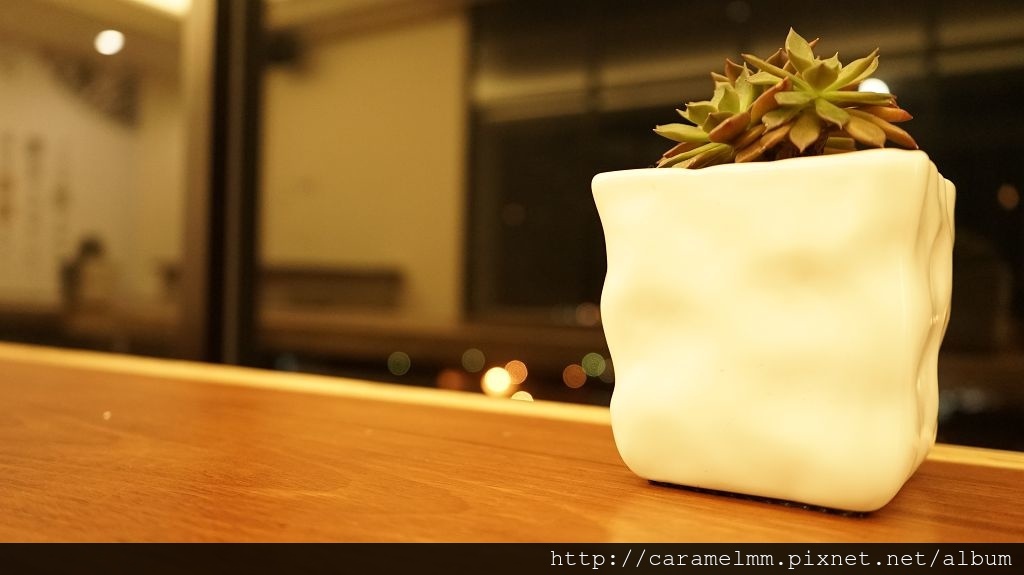 DSC07825.jpg DSC07825.jpg