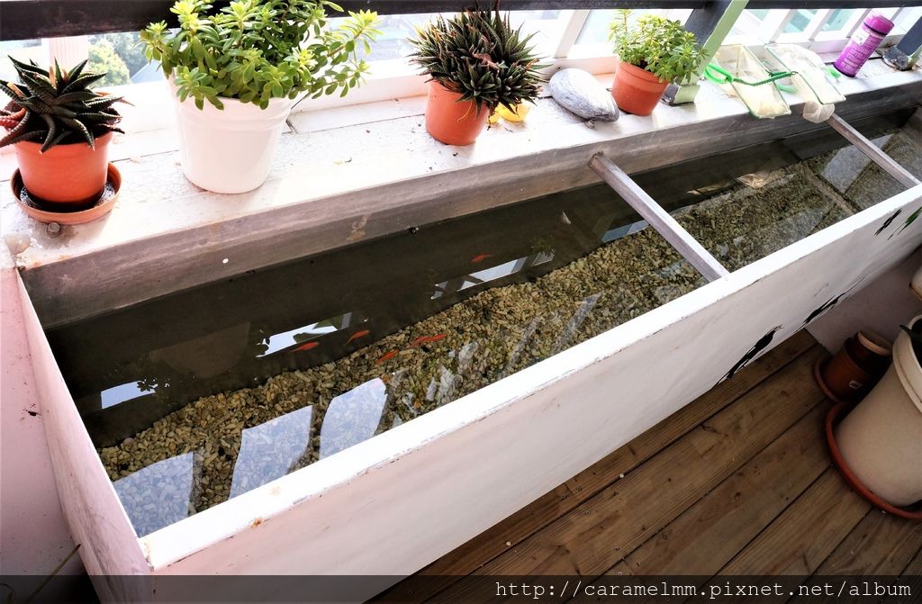 DSC06784.JPG DSC06784.JPG