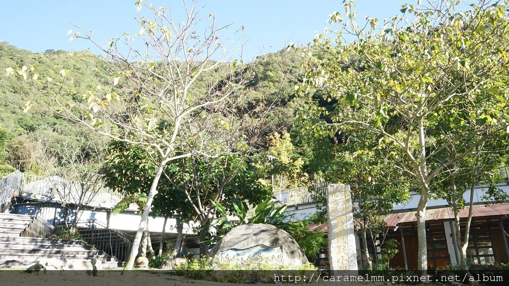 DSC06946.jpg DSC06946.jpg