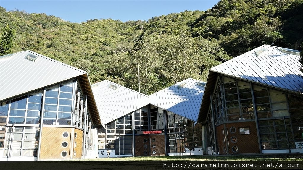 DSC06955.jpg DSC06955.jpg