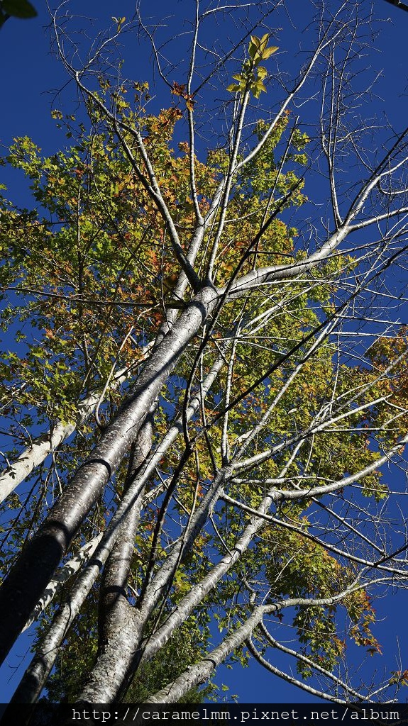 DSC06985.jpg DSC06985.jpg