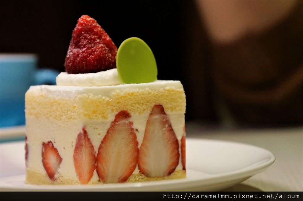 DSC07795.jpg DSC07795.jpg