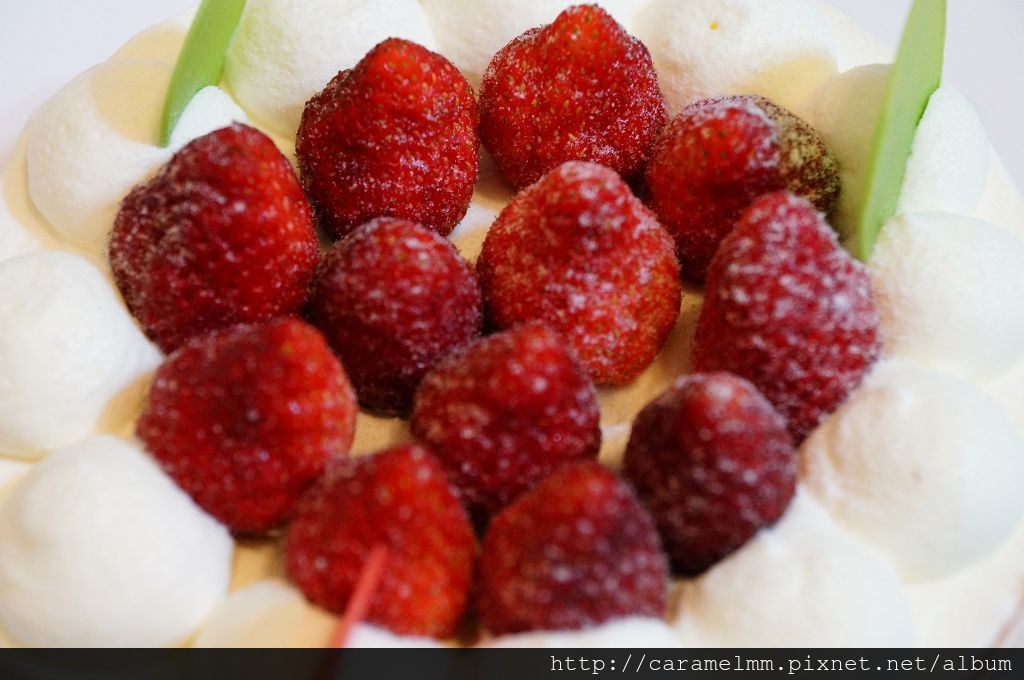 DSC07876.jpg DSC07876.jpg