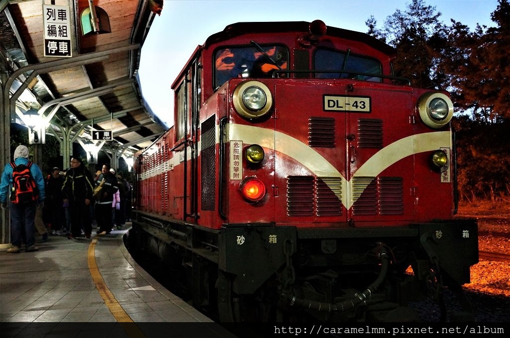 DSC06297.jpg DSC06297.jpg