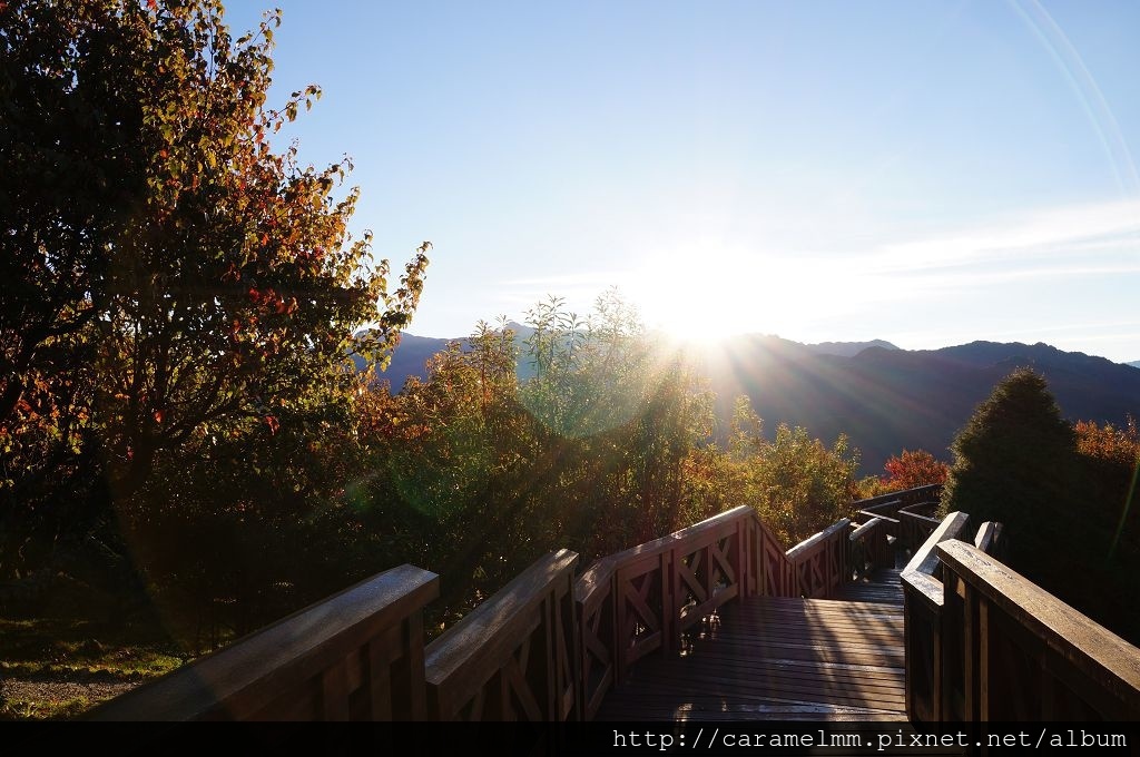 DSC06395.jpg DSC06395.jpg