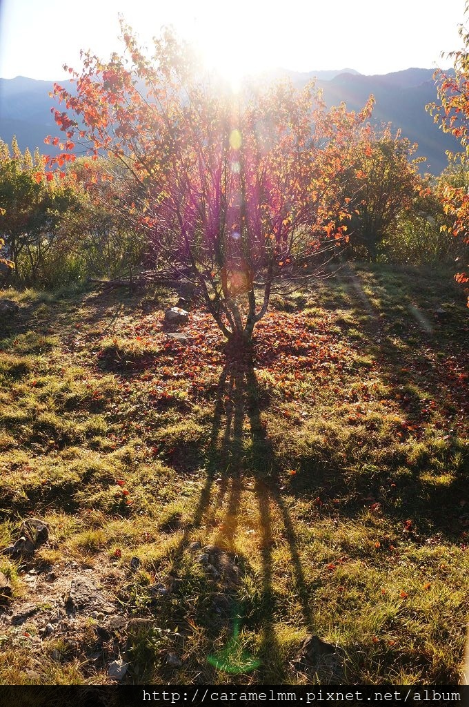 DSC06402.jpg DSC06402.jpg