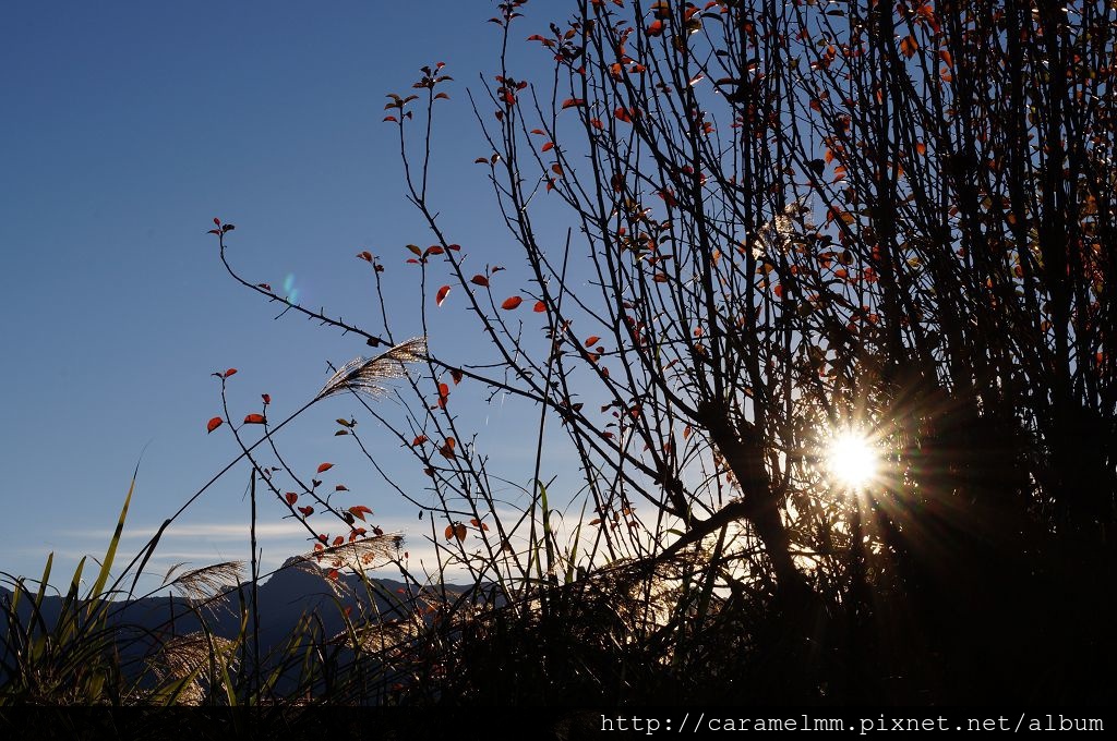 DSC06412.jpg DSC06412.jpg