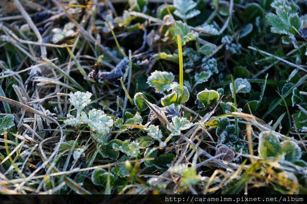 DSC06413.jpg DSC06413.jpg