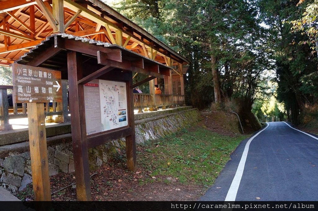 DSC06468.jpg DSC06468.jpg