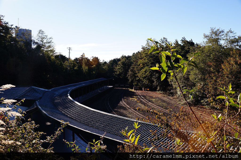 DSC06472.jpg DSC06472.jpg