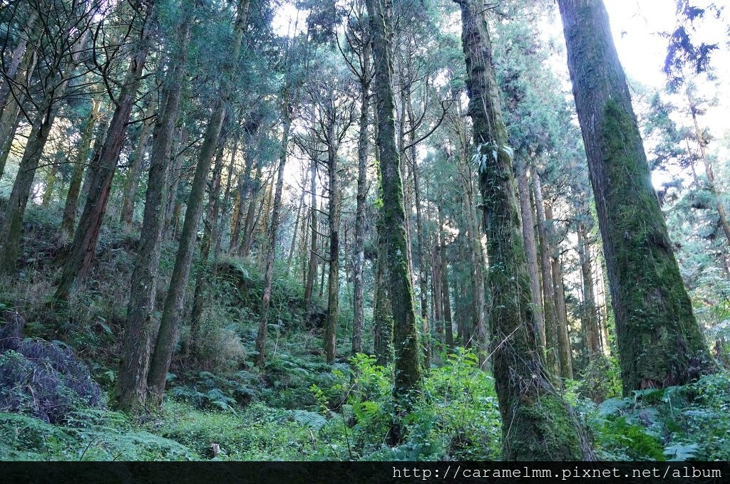 DSC06487.jpg DSC06487.jpg