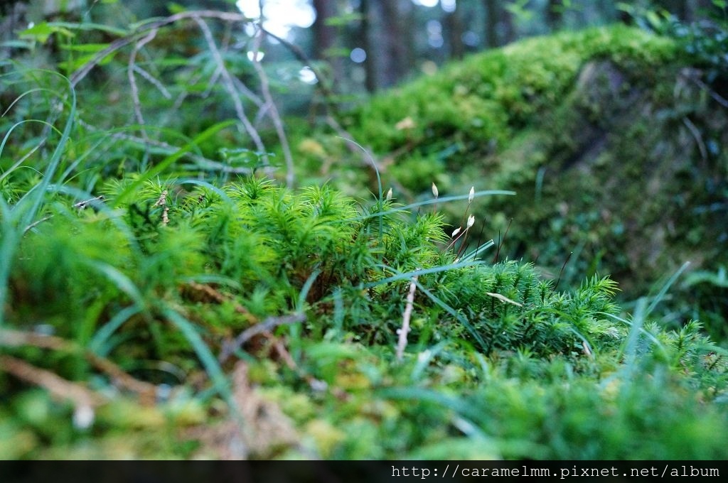 DSC06492.jpg DSC06492.jpg