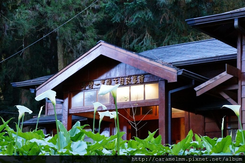 DSC06497.jpg DSC06497.jpg