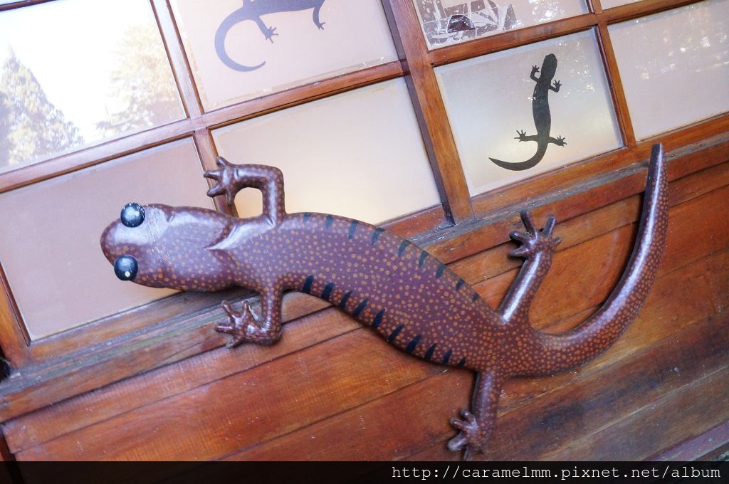 DSC06504.jpg DSC06504.jpg