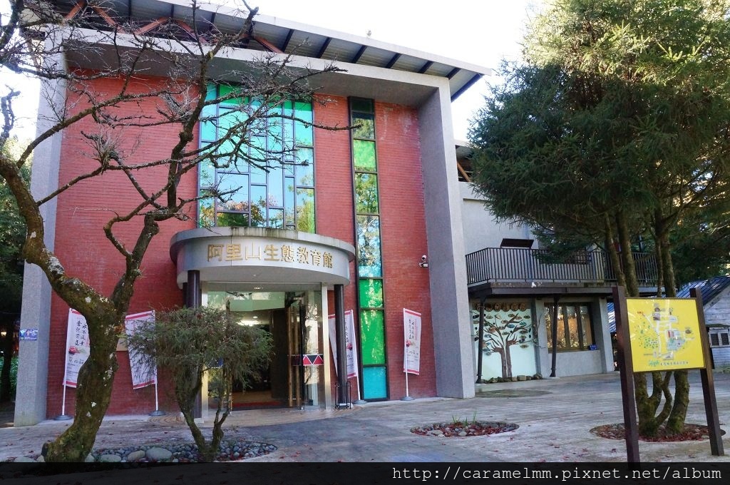 DSC06508.jpg DSC06508.jpg