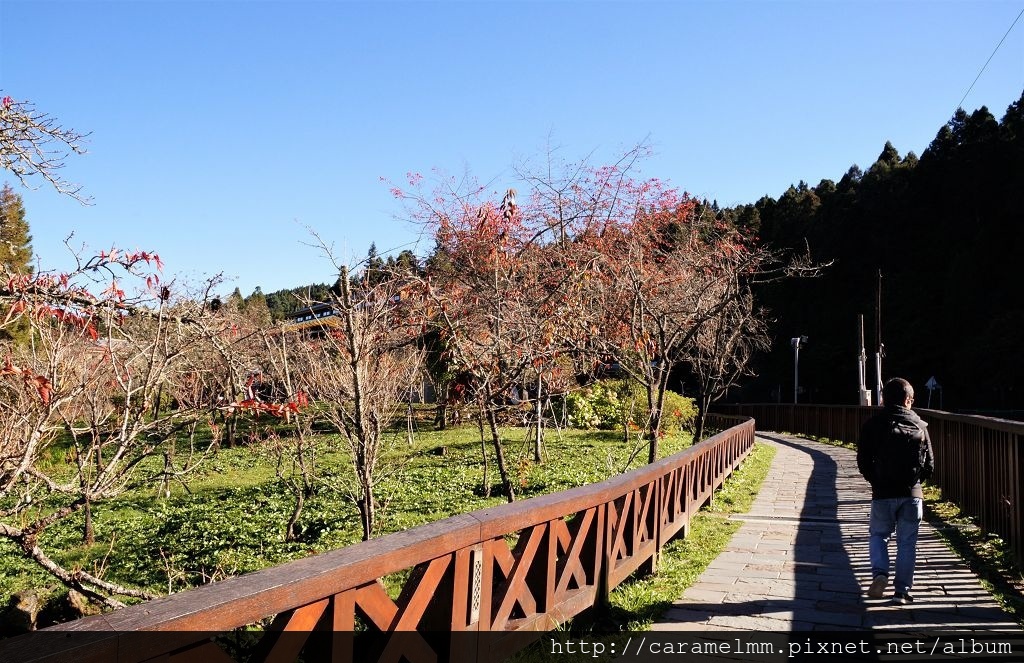 DSC06510.jpg DSC06510.jpg