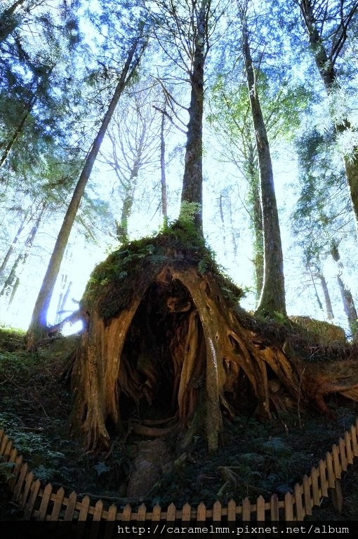 DSC06525.jpg DSC06525.jpg