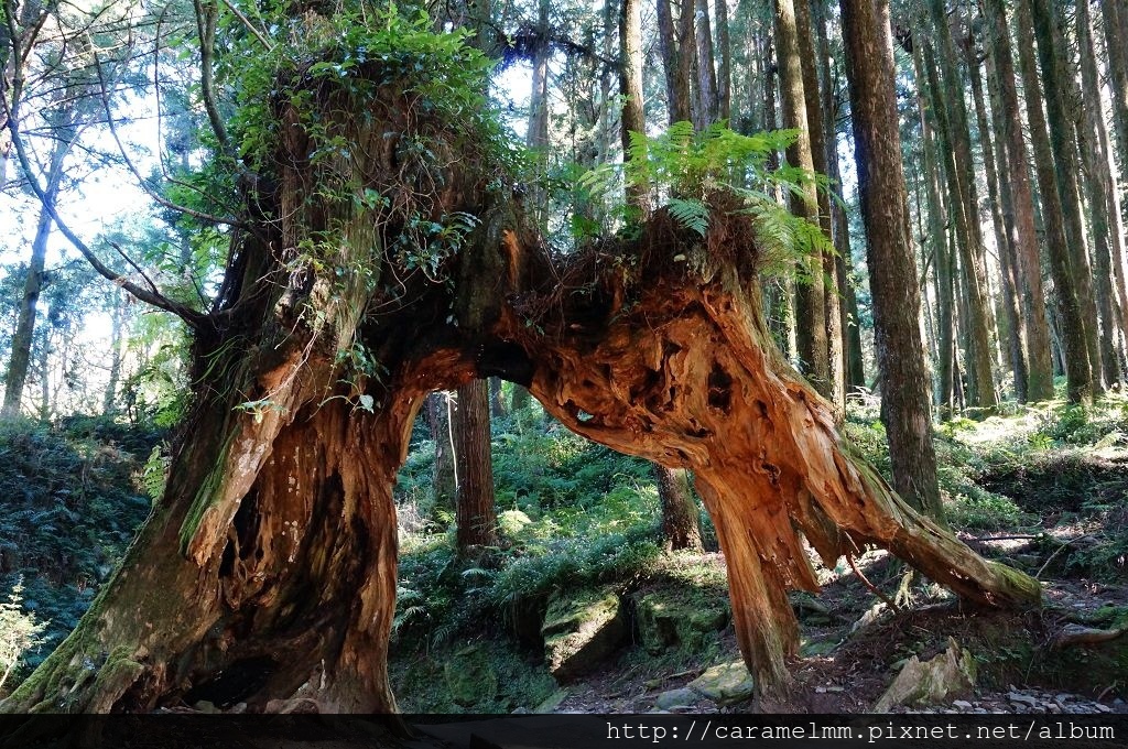 DSC06531.jpg DSC06531.jpg