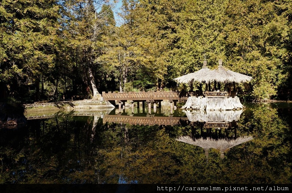 DSC06543.jpg DSC06543.jpg