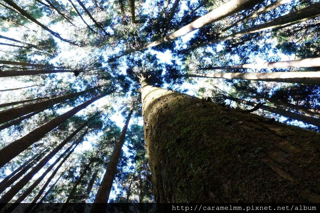 DSC06555.jpg DSC06555.jpg