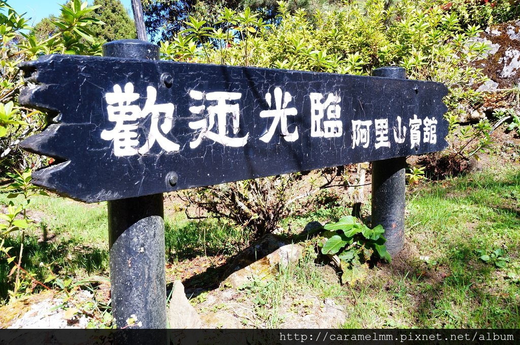 DSC06580.jpg DSC06580.jpg