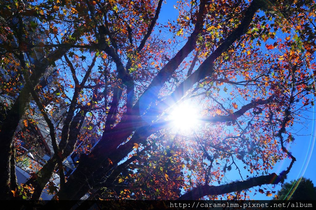 DSC06577.jpg DSC06577.jpg