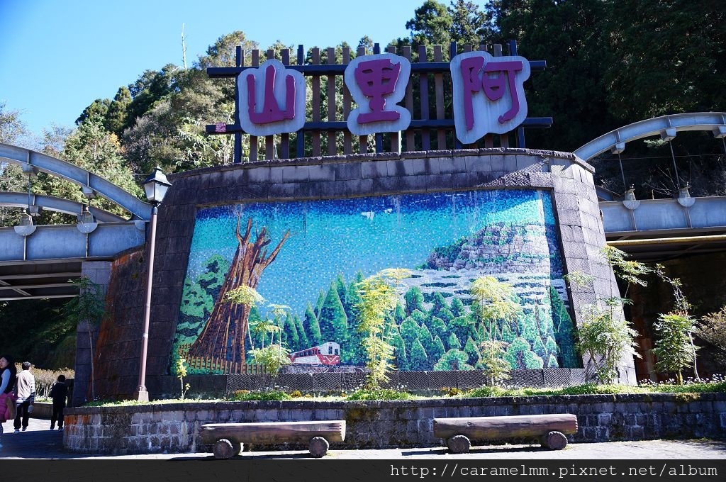 DSC06608.jpg DSC06608.jpg