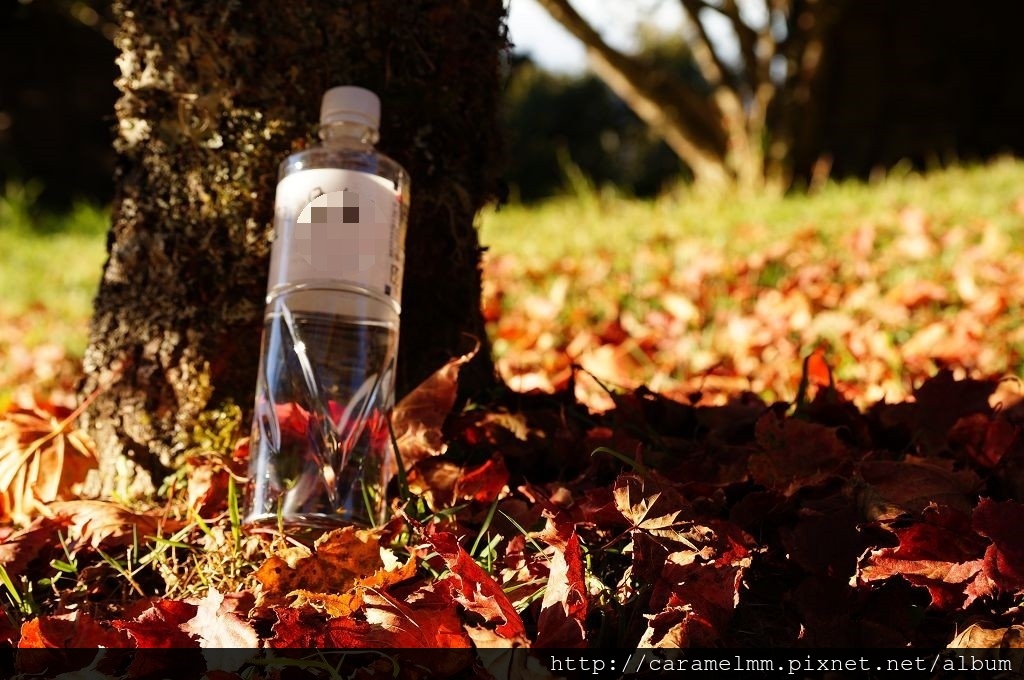 DSC06424.jpg DSC06424.jpg