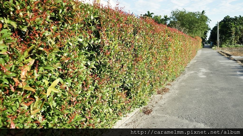 DSC07462.jpg DSC07462.jpg